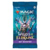 Magic: The Gathering Wilds of Eldraine Set Booster Box - 30 Packs (360 Magic Cards)